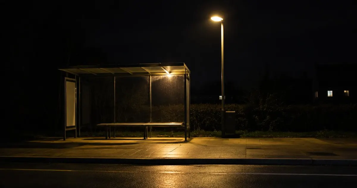 Hoe regel je vervoer als het openbaar vervoer niet meer rijdt? Lege bushalte in de nacht onder een straatlantaarn